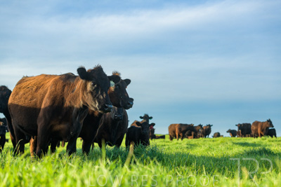 October 2022 / Mt-Shank-221017-7055