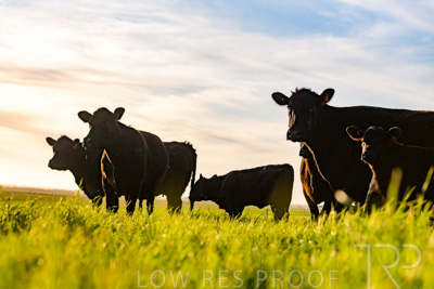 October 2022 / Mt-Shank-221017-7060