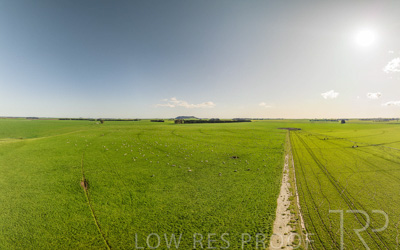 October 2022 / Mt-Shank-221018--10