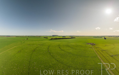 October 2022 / Mt-Shank-221018--11