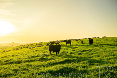 October 2022 / Mt-Shank-221018--2