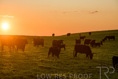 October 2022 / Mt-Shank-221018--31-2