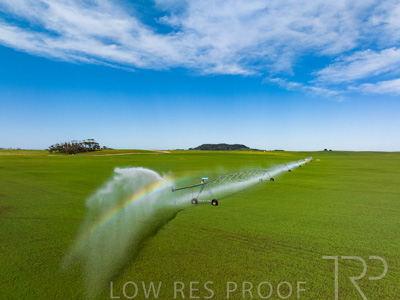 October 2022 / Mt-Shank-221018--33