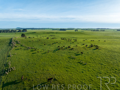 October 2022 / Mt-Shank-221018--34