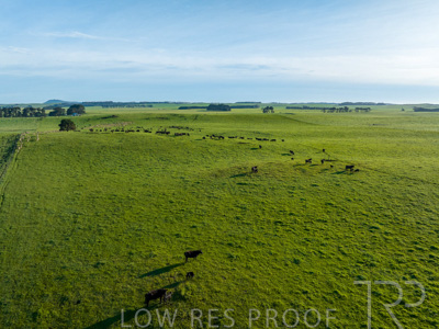 October 2022 / Mt-Shank-221018--36