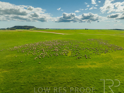 October 2022 / Mt-Shank-221018--38-2