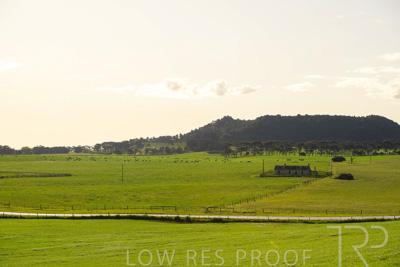 October 2022 / Mt-Shank-221018--38-3