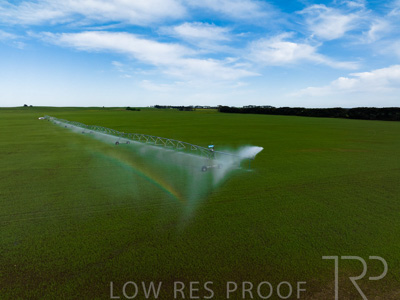 October 2022 / Mt-Shank-221018--38