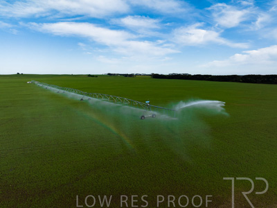 October 2022 / Mt-Shank-221018--39