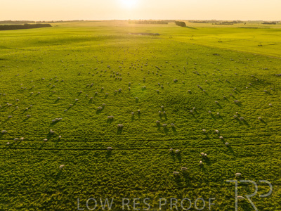 October 2022 / Mt-Shank-221018--40