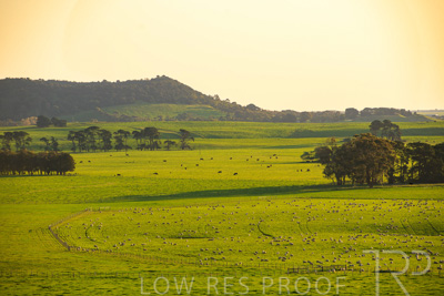 October 2022 / Mt-Shank-221018--41-2