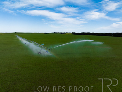 October 2022 / Mt-Shank-221018--41