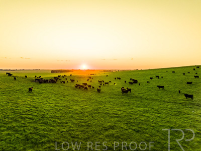 October 2022 / Mt-Shank-221018--42-3