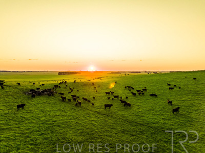 October 2022 / Mt-Shank-221018--43-3