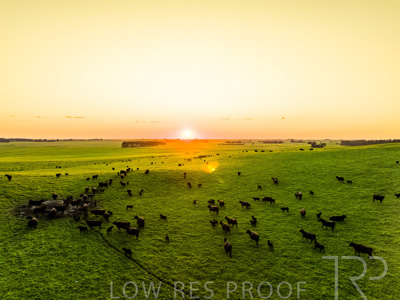 October 2022 / Mt-Shank-221018--44-2