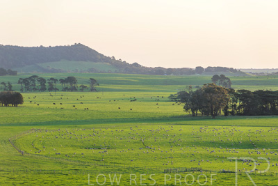 October 2022 / Mt-Shank-221018--44