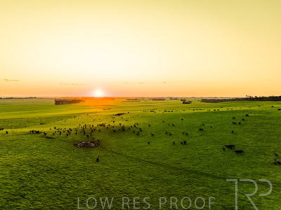 October 2022 / Mt-Shank-221018--45-2