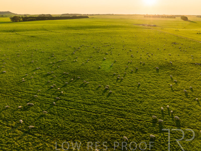 October 2022 / Mt-Shank-221018--46-3