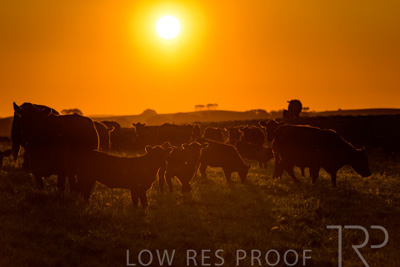 October 2022 / Mt-Shank-221018--46-4