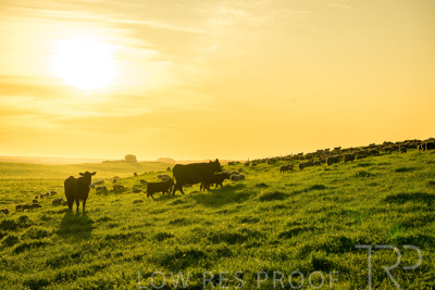 October 2022 / Mt-Shank-221018--46