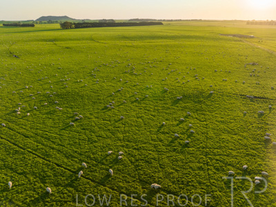 October 2022 / Mt-Shank-221018--47-3