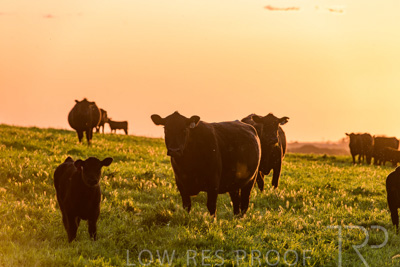 October 2022 / Mt-Shank-221018--47-4