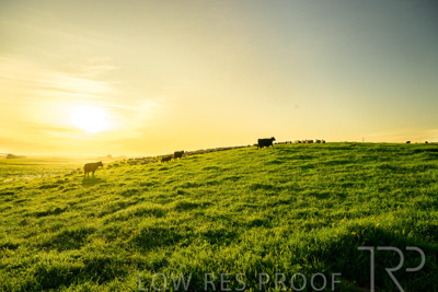 October 2022 / Mt-Shank-221018--47