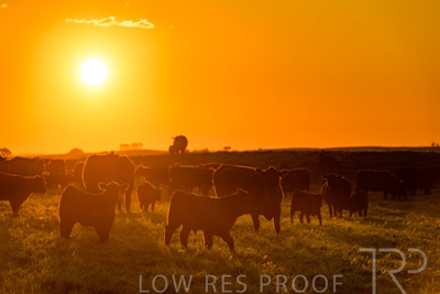 October 2022 / Mt-Shank-221018--48-4