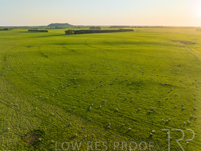 October 2022 / Mt-Shank-221018--49-2