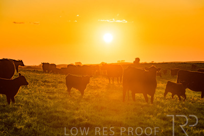 October 2022 / Mt-Shank-221018--49-4