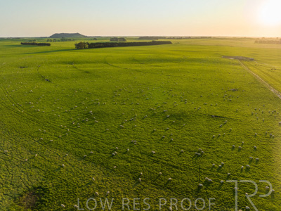 October 2022 / Mt-Shank-221018--50-3