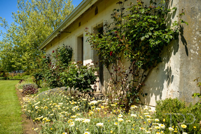 October 2022 / Mt-Shank-221018--51-2