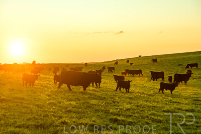 October 2022 / Mt-Shank-221018--51-5