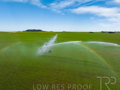 October 2022 / Mt-Shank-221018--51