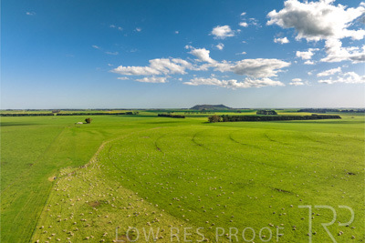 October 2022 / Mt-Shank-221018--53-2