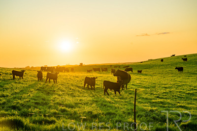 October 2022 / Mt-Shank-221018--53-3