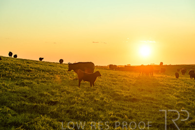 October 2022 / Mt-Shank-221018--53-4