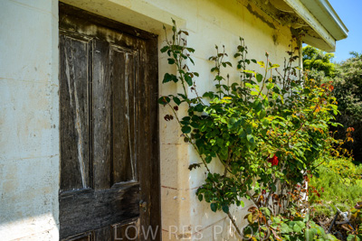 October 2022 / Mt-Shank-221018--54-2