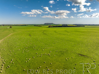 October 2022 / Mt-Shank-221018--54-3