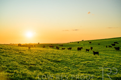 October 2022 / Mt-Shank-221018--54-4