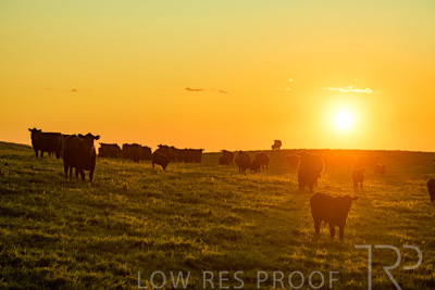 October 2022 / Mt-Shank-221018--54-5