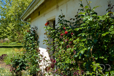 October 2022 / Mt-Shank-221018--55-2