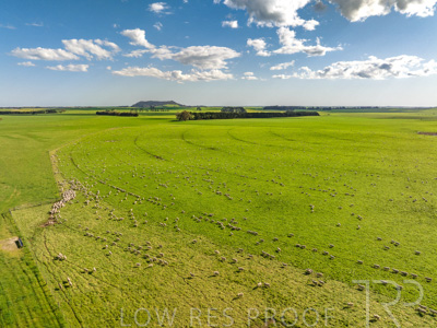 October 2022 / Mt-Shank-221018--55-3