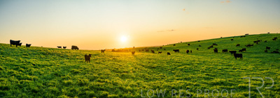 October 2022 / Mt-Shank-221018--55-4