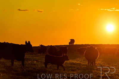 October 2022 / Mt-Shank-221018--55-5