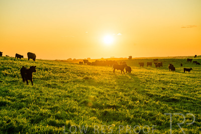 October 2022 / Mt-Shank-221018--56-4