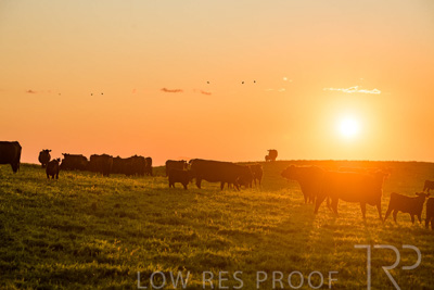 October 2022 / Mt-Shank-221018--56-5