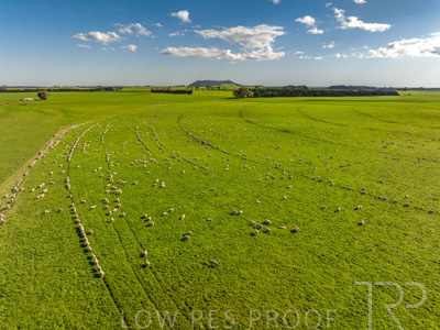 October 2022 / Mt-Shank-221018--57-3