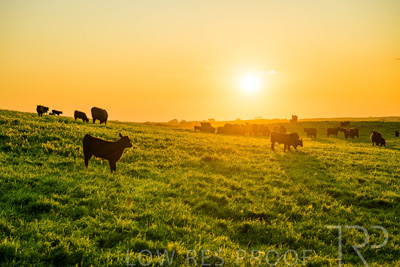 October 2022 / Mt-Shank-221018--57-4