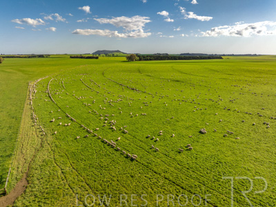 October 2022 / Mt-Shank-221018--58-3